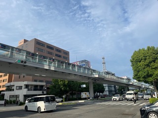 IMG_0530.jpeg