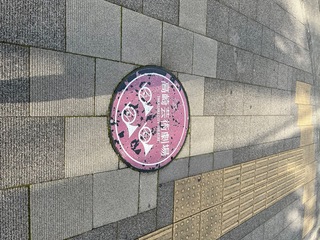 IMG_0531.jpeg
